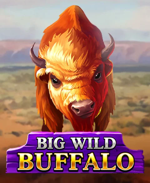 Play Big Wild Buffalo at Bingo Bonga Casino